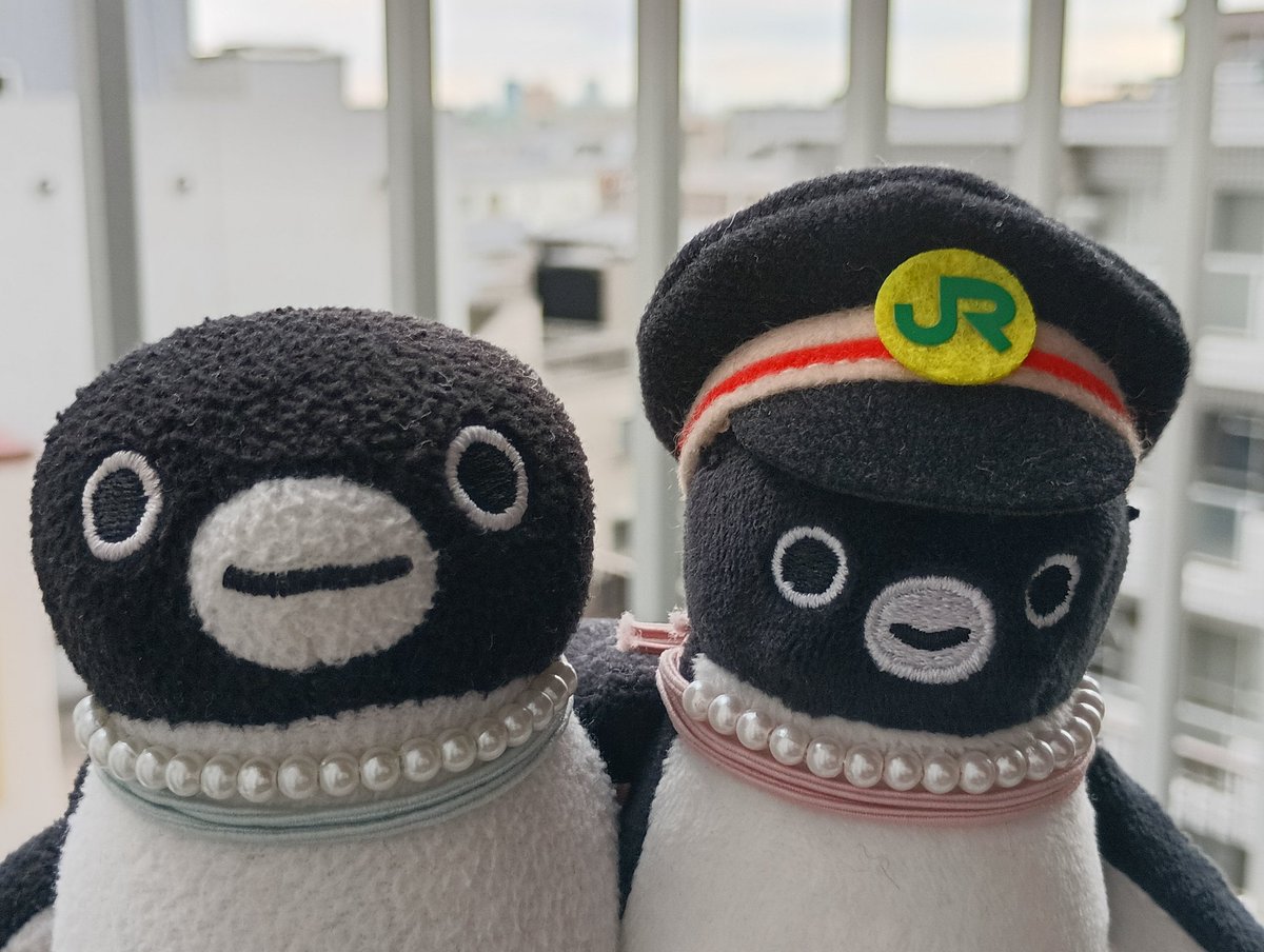 ｷｬﾝﾁｮﾒ tweet media