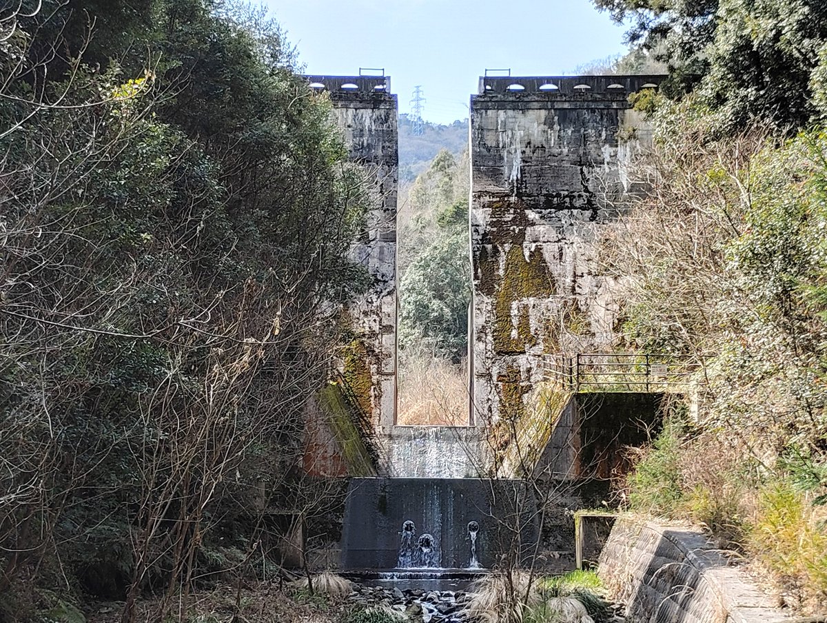 つづれ屋 tweet media