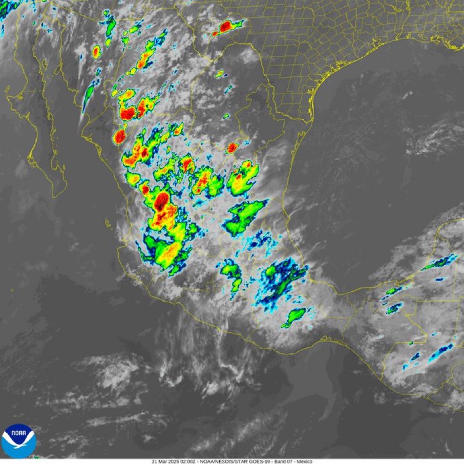 Huitzil Azul✨🚂🐦⬛ tweet media