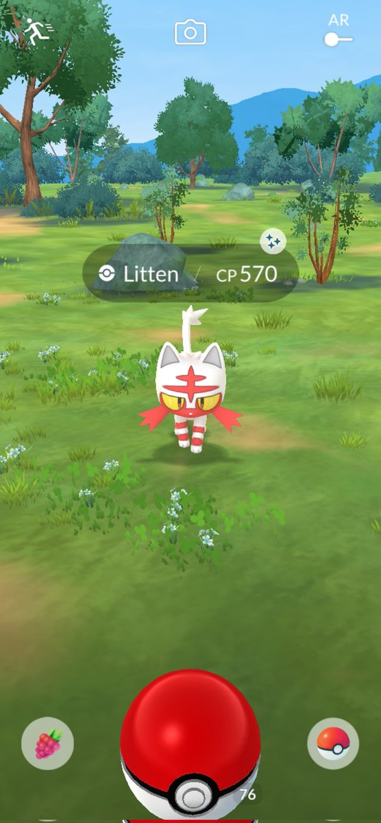 TheTman080's tweet image. Dont really see this often 🙀🙀🙀
Wild Shiny Litten!!! 🙀✨️😻
#Pokemon #PokemonGO #PokemonGOApp #ShinyPokemon