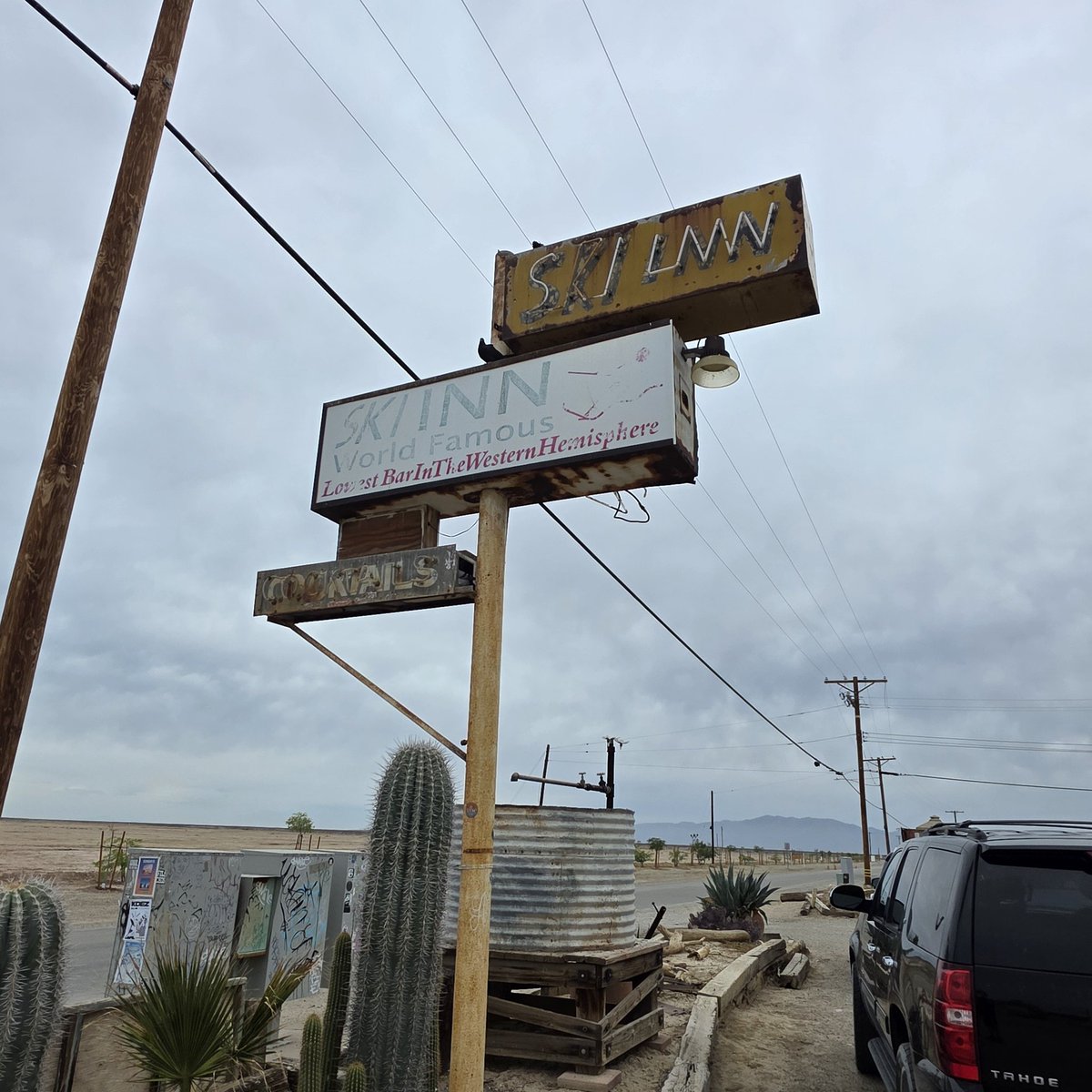 Professor66 tweet media