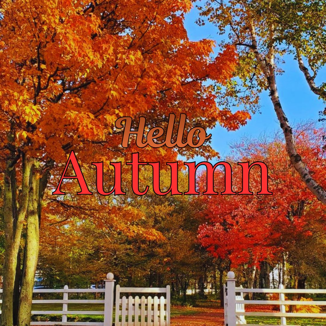 peicapstone2026's tweet image. Hello fall 🍂🌊🍃
Follow along as we dive into crisp ocean air 🌬️, cozy comfort ☕🧣, and all the magic autumn brings to the island ✨🍁

#HelloFall
#PEI
#FallOnPEI
#CoastalAutumn
#HOST4103