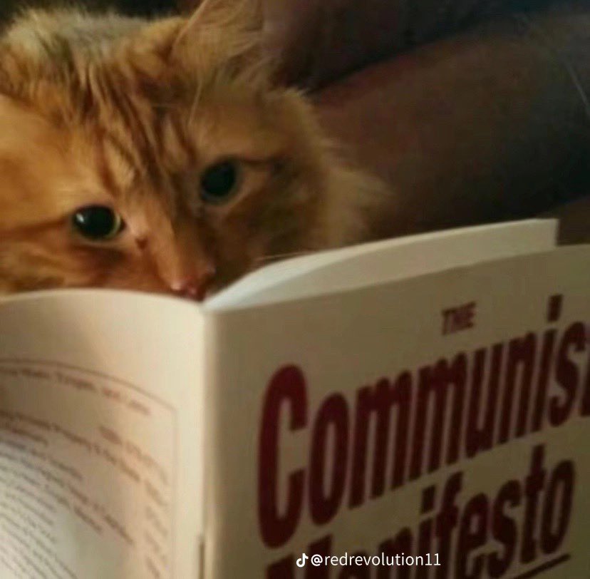 Confessions du Leftwt français tweet media