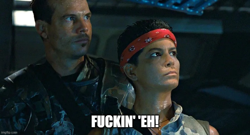 Opus Buddly tweet media