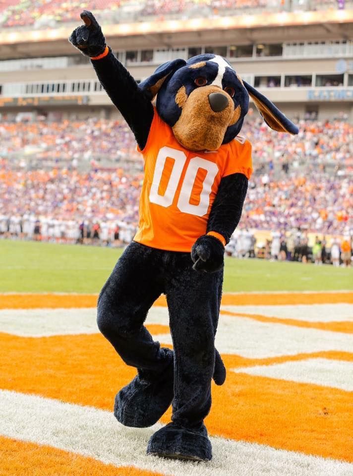 Bridger Guillory ,DB -CO28 tweet media