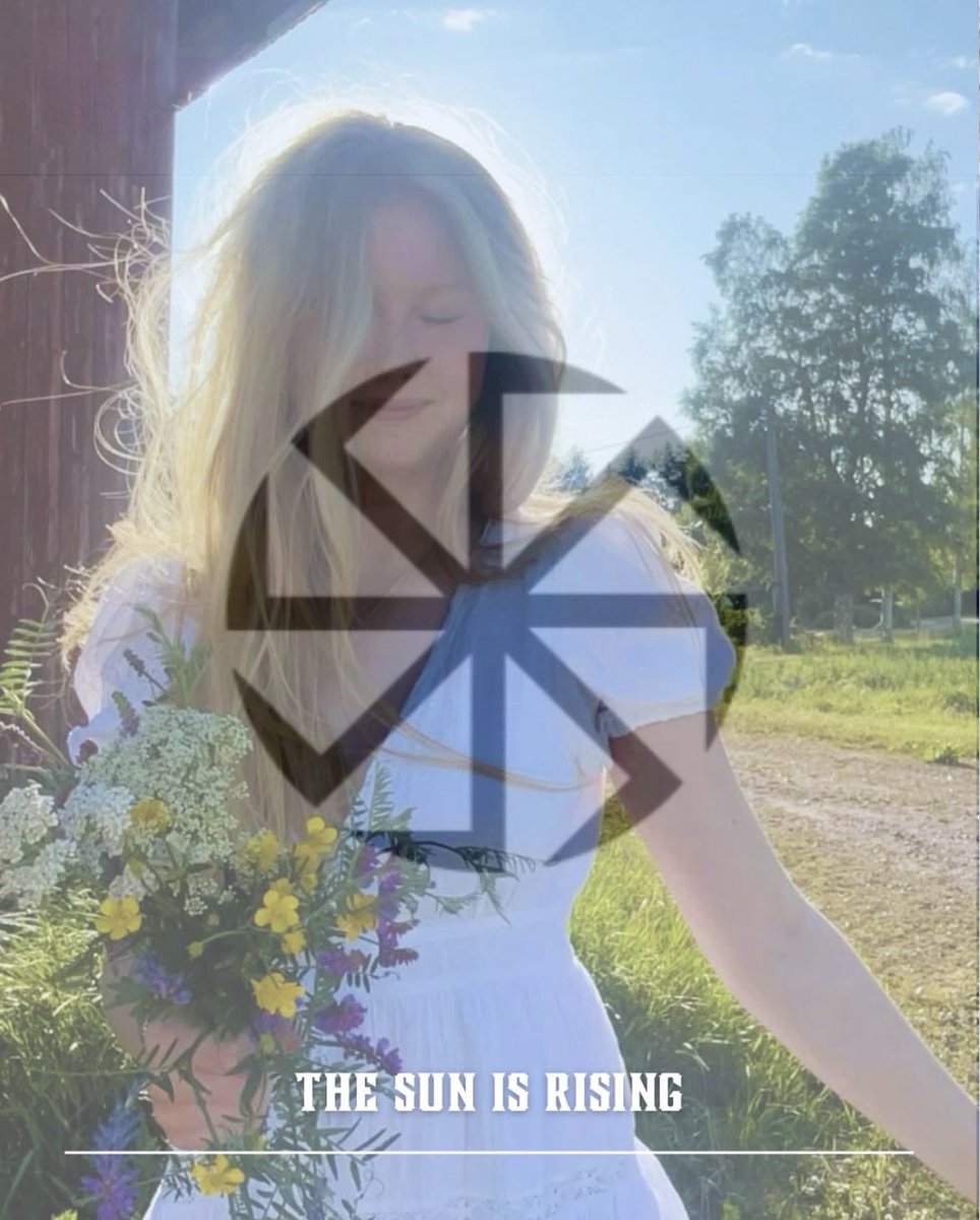 RealJustinLewis tweet media