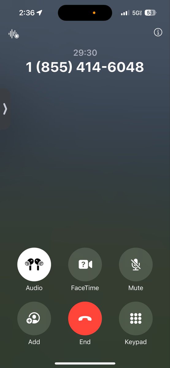 LKNystrom tweet media