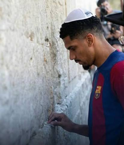 Martin VII tweet media