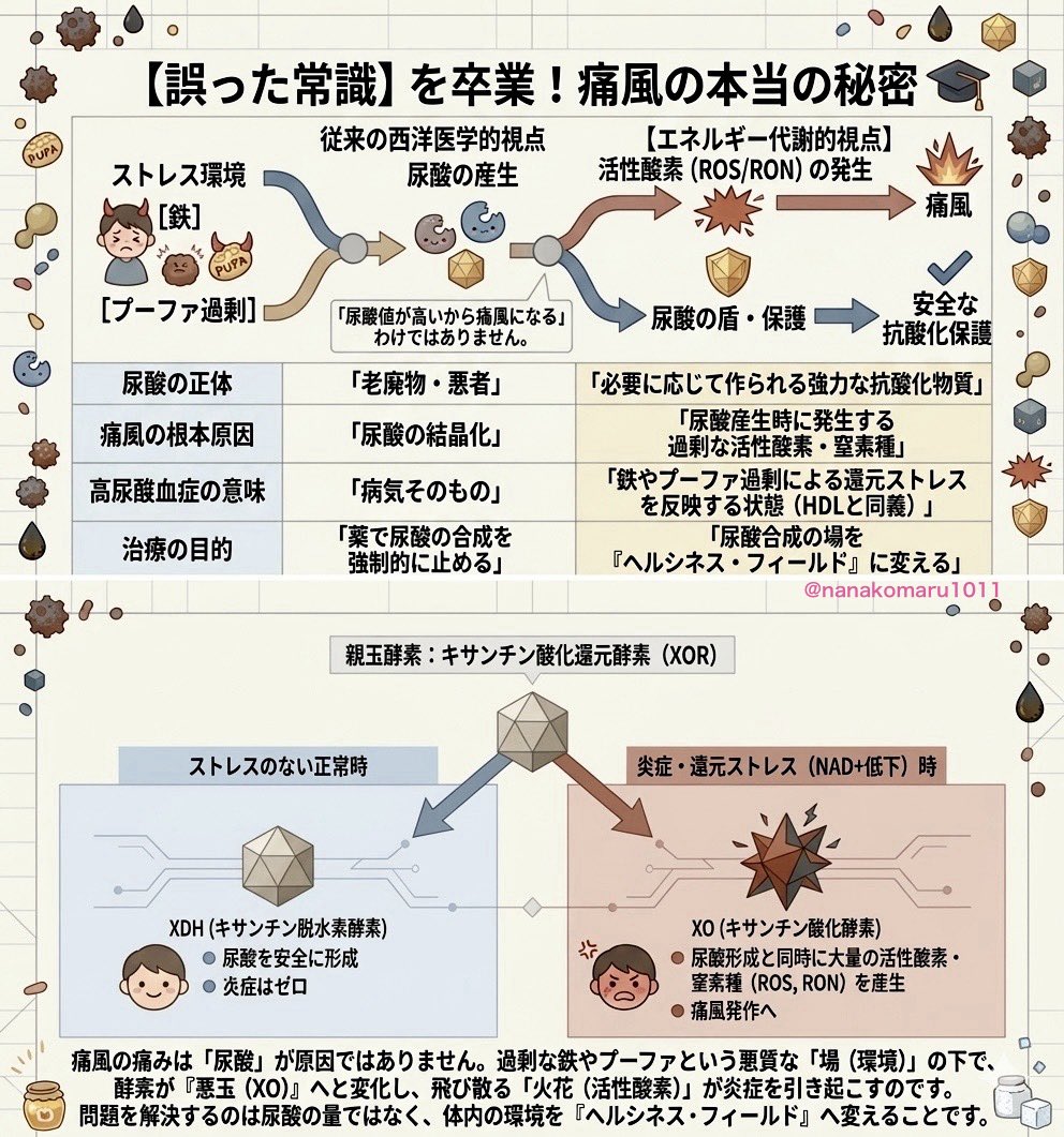 nanakomaru1011's tweet photo. 😨「痛風は尿酸のせい」
実は完全な濡れ衣です。

痛風の激痛は尿酸が原因ではありません。

もし尿酸だけを下げようとしているなら
それは火事の現場で「煙だけ消している」のと同じです。

本当の原因は
体内に溜まった「油」と「鉄」

𓂃𓈒 𓂂𓏸

😨まずここが大きな誤解

尿酸は悪者ではありません
むしろ体を守る超抗酸化物質です。

𓂃𓈒 𓂂𓏸

😨ではなぜ痛風が起きるのか？

体の中には尿酸を作る「工場」があります
健康な状態では安全に働いています

でも悪い油（プーファ）や過剰な鉄が溜まり
代謝が落ちると——

👉工場長が豹変します！！
👉XO（キサンチン酸化酵素）に！！

😨このXOは
尿酸を作ると同時に
「サビの元（活性酸素）」を大量に撒き散らします

𓂃𓈒 𓂂𓏸

😨ここからが本当にヤバい

この火の粉（活性酸素）が
体内に溜まった「油」と「鉄」に引火し

👉大爆発（急性炎症）を起こす

さらにXOは鉄を引きずり出し
炎症を加速させ続けます

𓂃𓈒 𓂂𓏸

😨つまり尿酸はただそこにいただけ

本当の原因は
👉火薬（油と鉄）と
👉火の粉（活性酸素）

だから尿酸値だけ下げても意味がない
体の中が火薬庫のままだからです。

𓂃𓈒 𓂂𓏸

痛風は「尿酸が高いから」ではない
👉爆発する環境があるから起きる

𓂃𓈒 𓂂𓏸

じゃあどうするか、結局これ。
👉良質な糖（ハチミツ砂糖果物など）で代謝を回す
👉体内の油の在庫を入れ替える