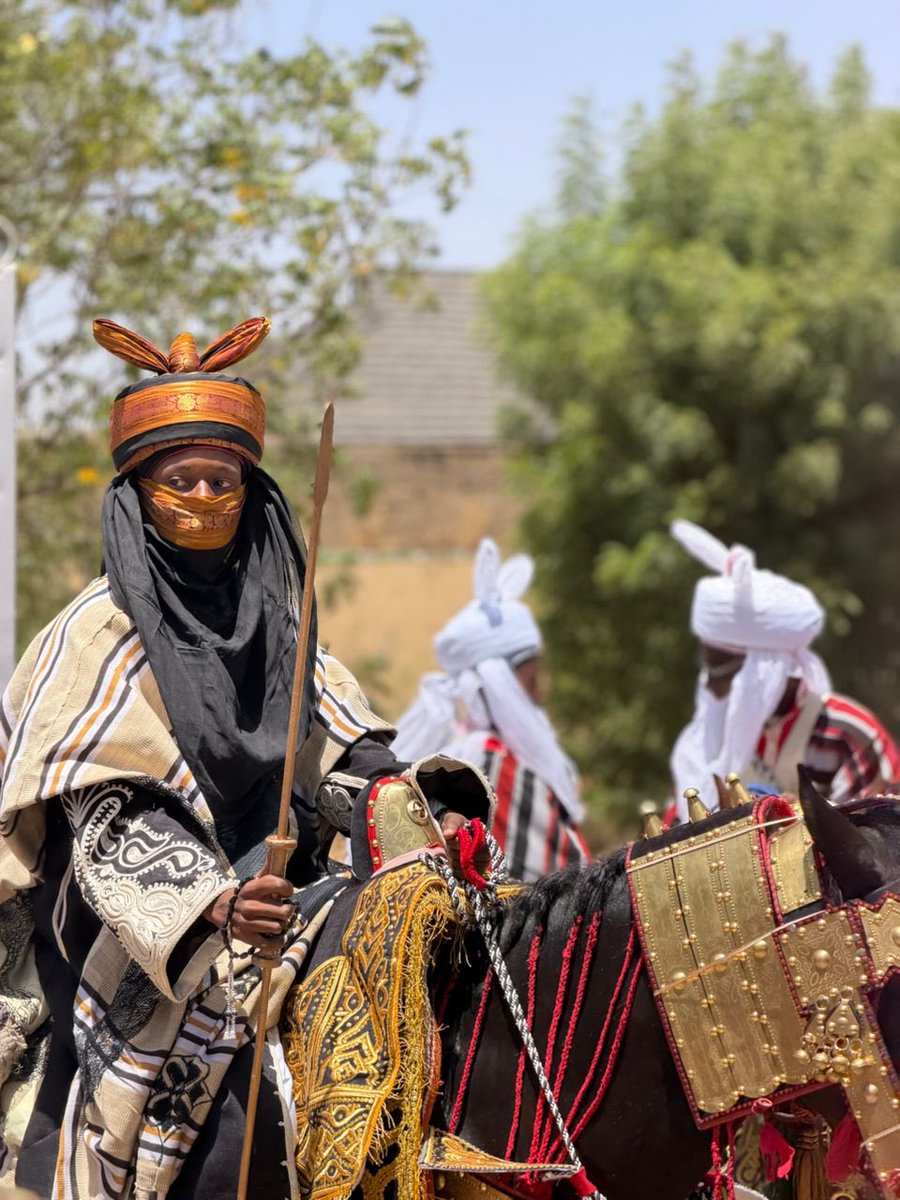 M L D 🇮🇷🇵🇸 tweet media