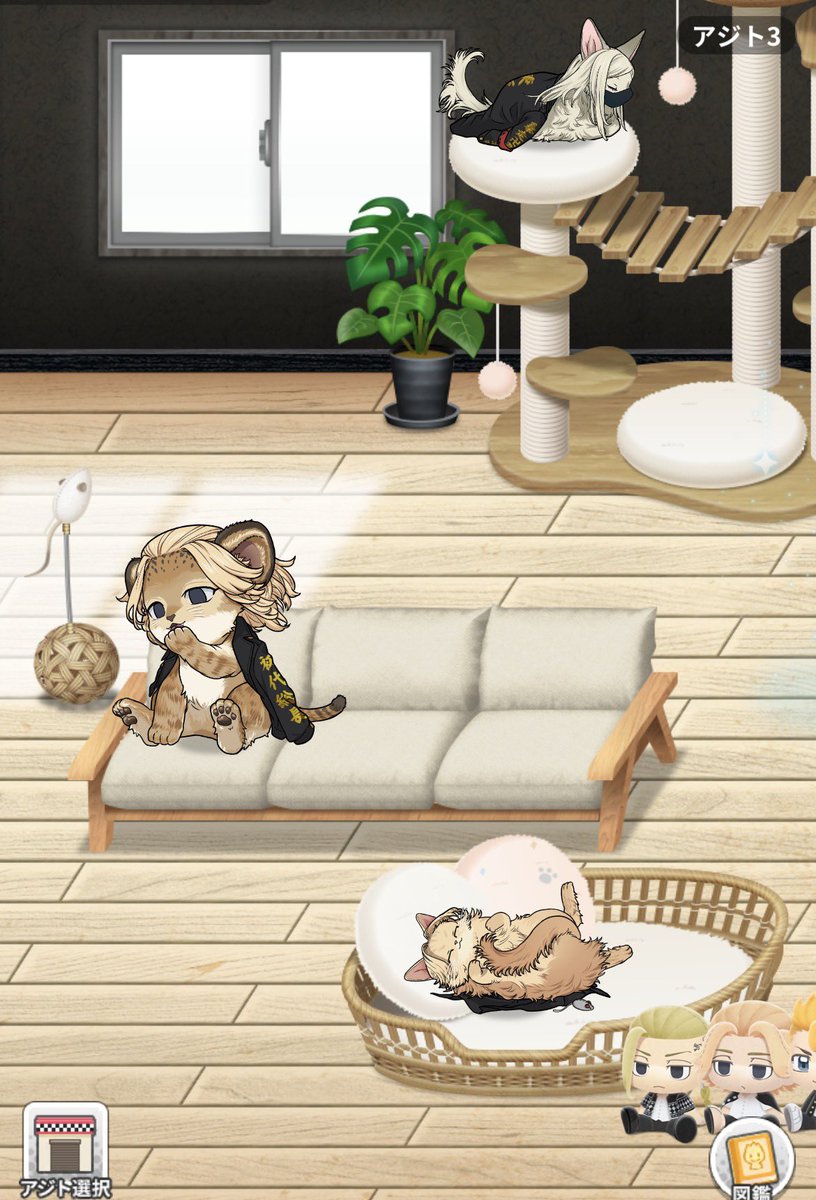 しみず🧂💧 tweet media