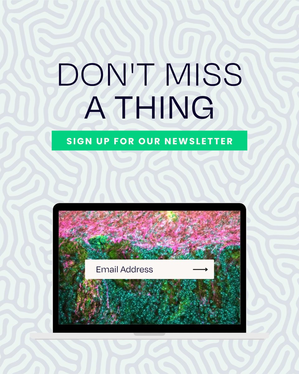 ScienceStowers's tweet photo. Want to keep up with discoveries from the Stowers Institute?

Subscribe to our monthly newsletter for #research highlights, stories from our scientists, and upcoming events.

📬 https://t.co/uT4r33acE2 https://t.co/aqikcTFmOE