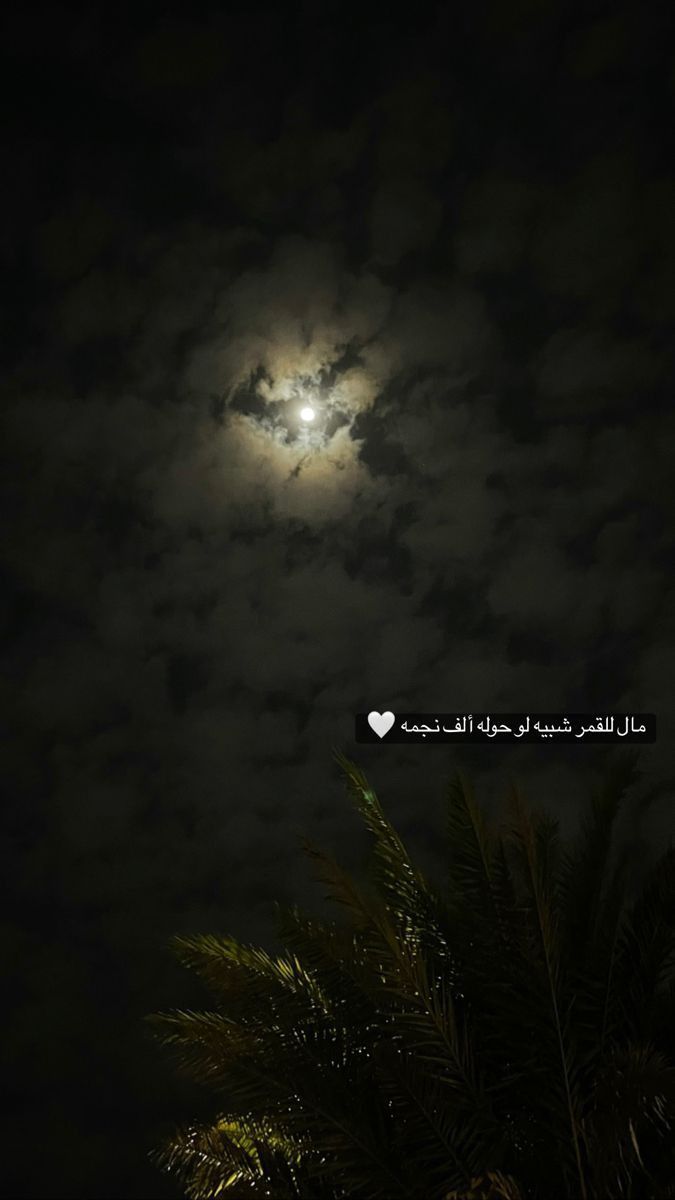 ..🍒مـوگــا tweet media