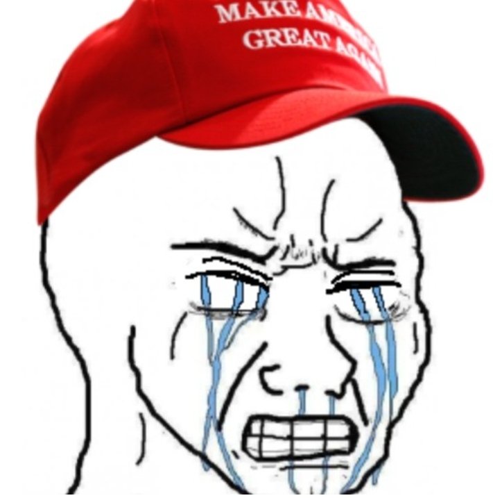 💛💙 🌊 Willow🌊💙💛 tweet media