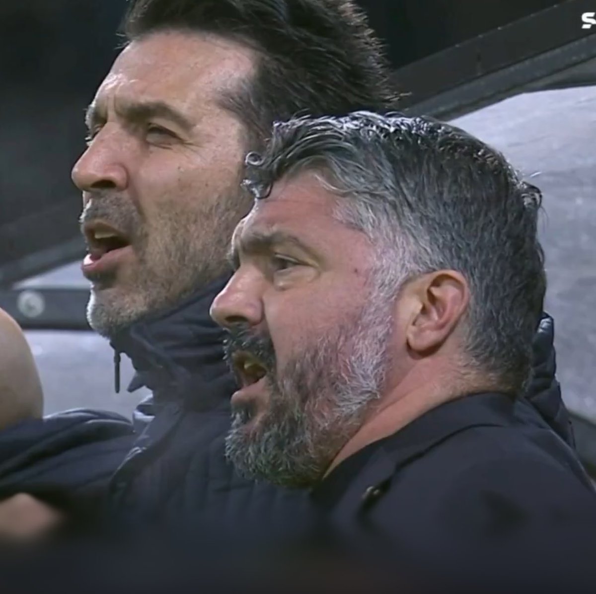 Fell Tips tweet media