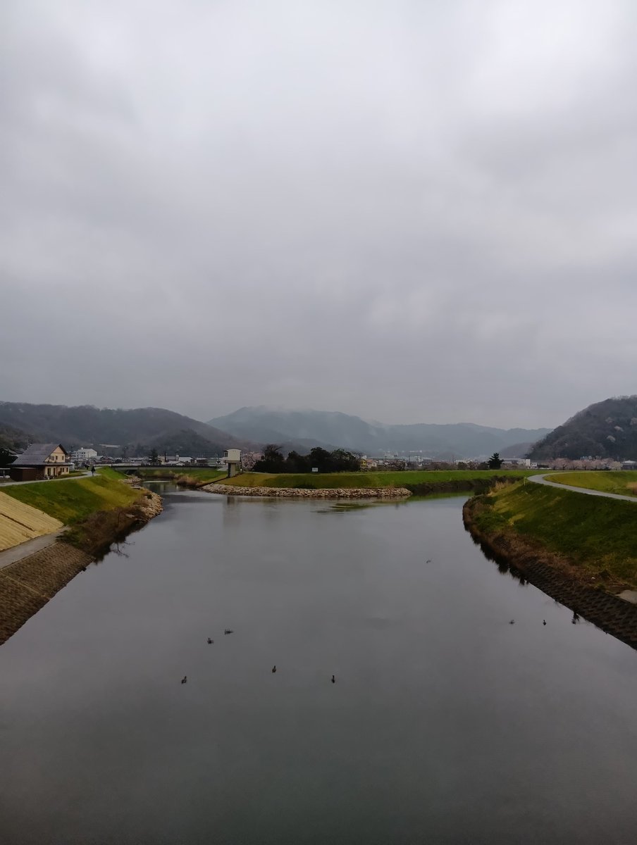 やん坊🎸🐱🦋🍛🍓🧜‍♀🐉🚃6️⃣👑 tweet media