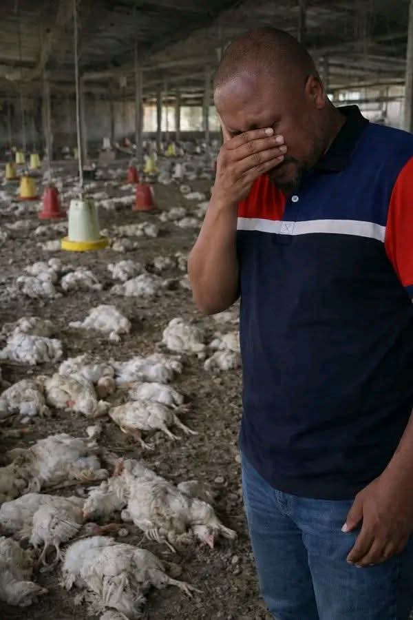 Tope A teacher & A Farmer I Will Never Give Up 💪) tweet media