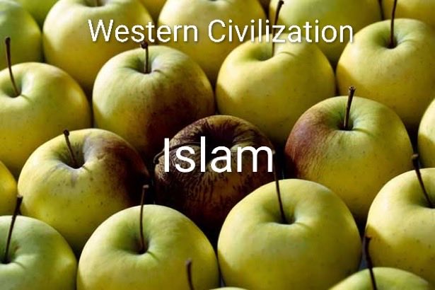 N Ecc 🏴󠁧󠁢󠁥󠁮󠁧󠁿🏴󠁧󠁢󠁥󠁮󠁧󠁿🏴󠁧󠁢󠁥󠁮󠁧󠁿 tweet media