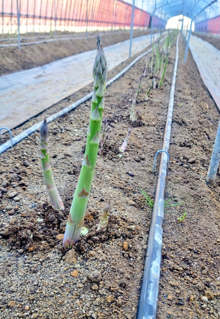 おはようございます
今朝の様子
今日は寒さは緩んで少し太陽も見えました☺️