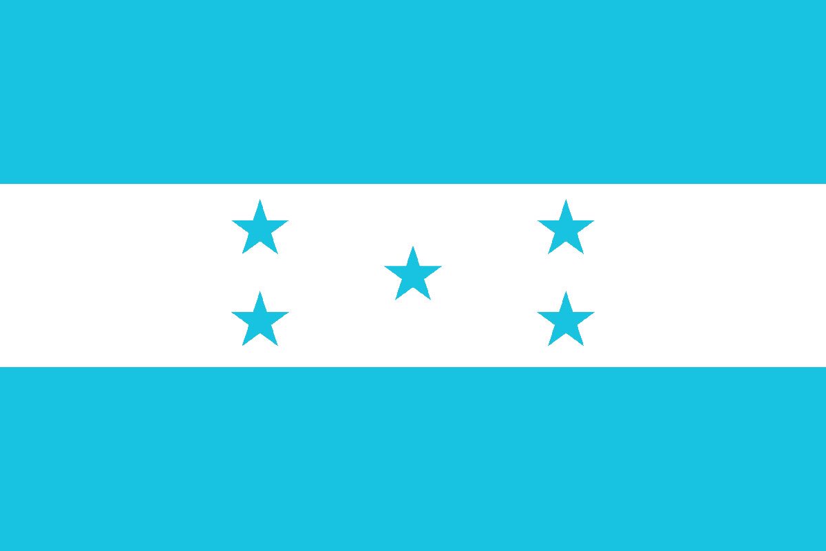 DM🦁⚪️ tweet media