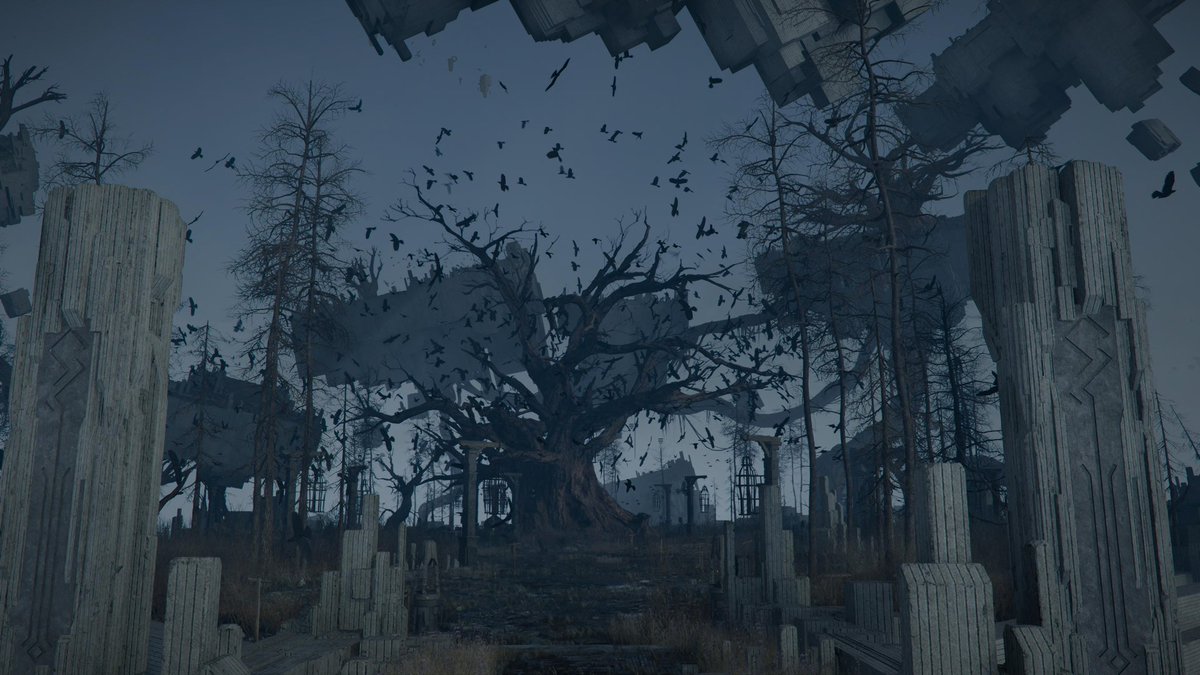 Lorenzo Grajales tweet media