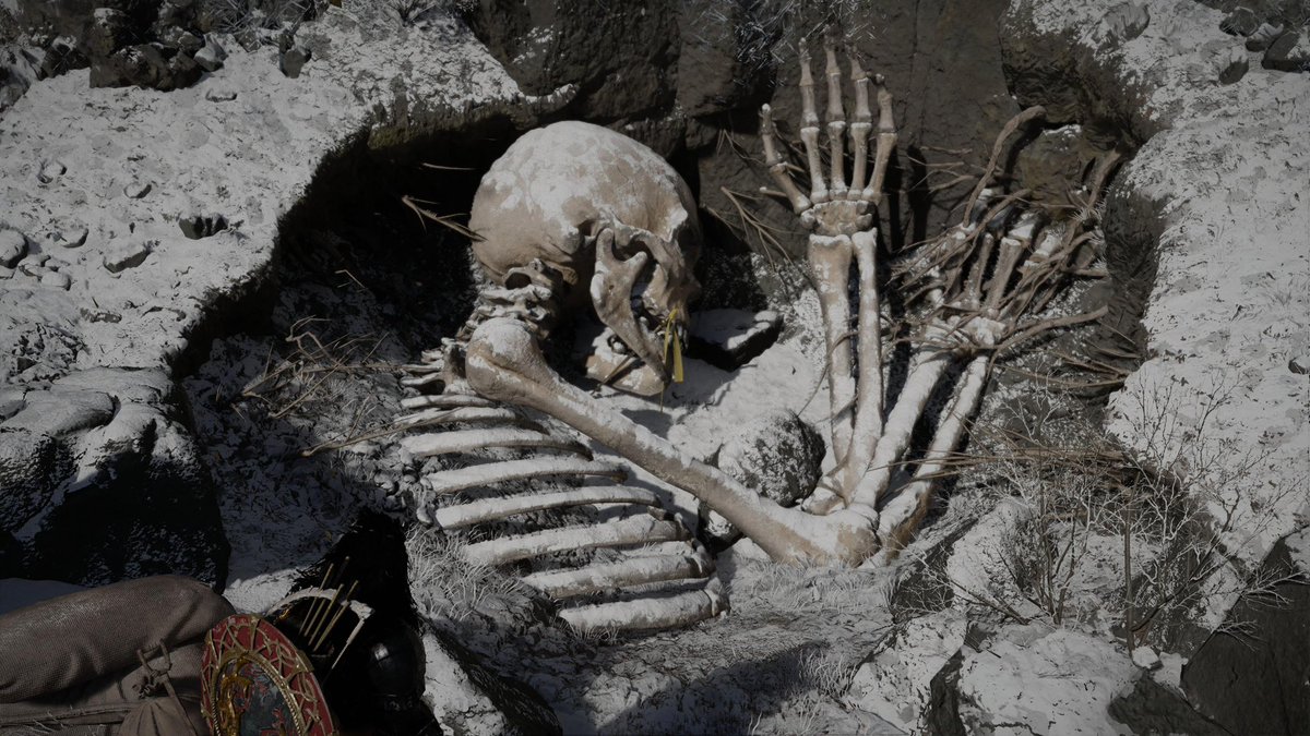 Lorenzo Grajales tweet media