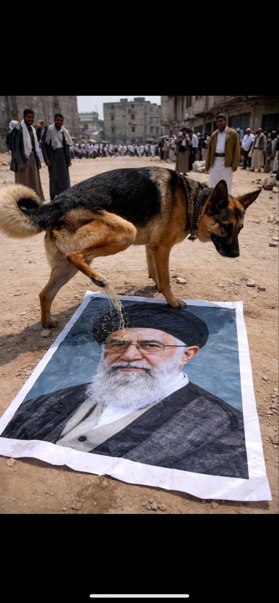 💙هلالي💙 tweet media