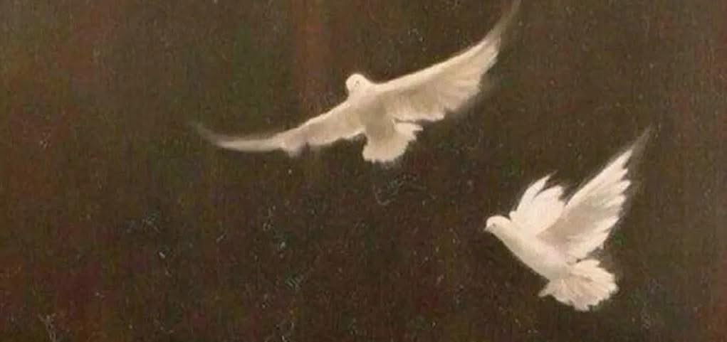 ســــارة tweet media