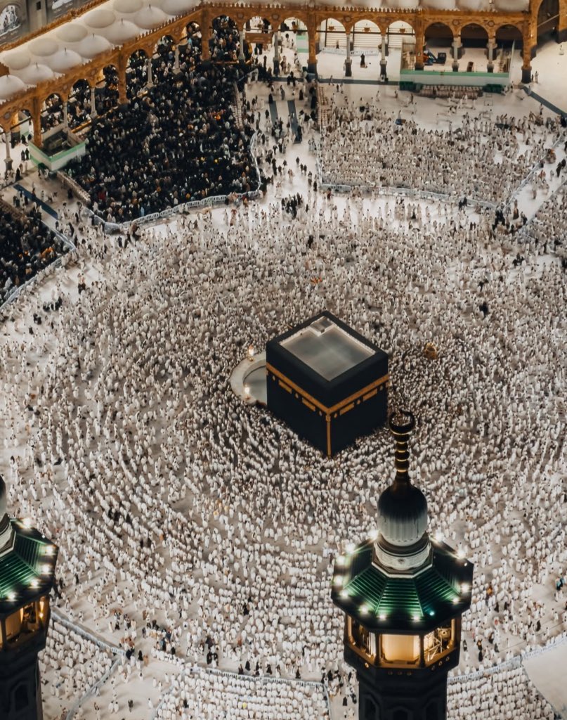 مالك الروقي tweet media