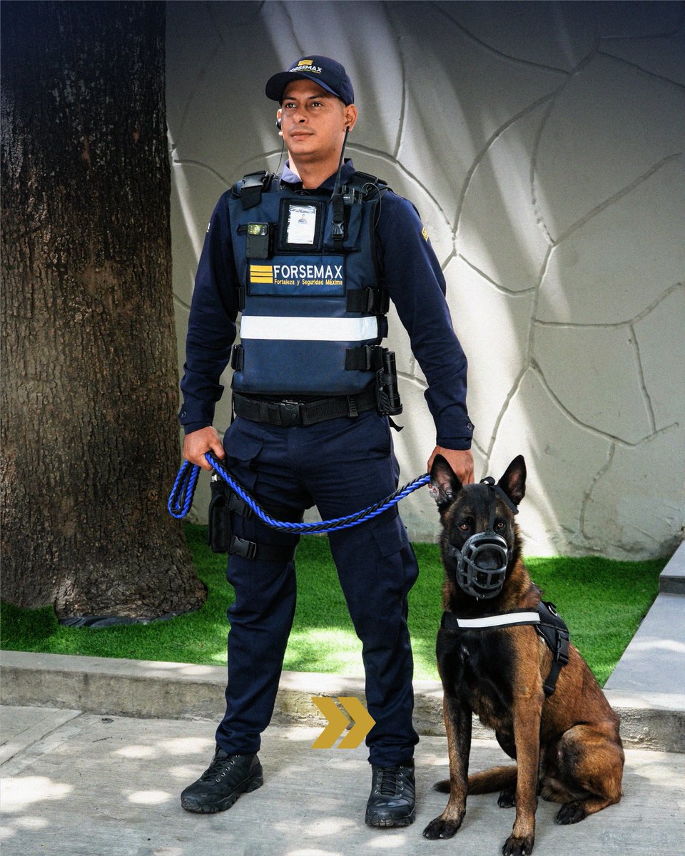 forsemax's tweet photo. Equipos preparados para responder de manera inmediata #ForseMax #urbanizacionPrivada #ControldeAcceso #VigilanciaGarantizada #SeguridadPrivada https://t.co/ghk3mpUGpZ