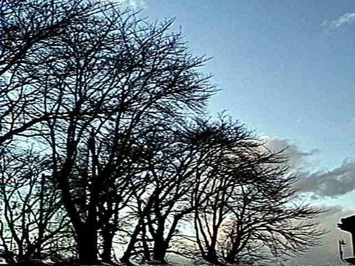 梅うねり tweet media