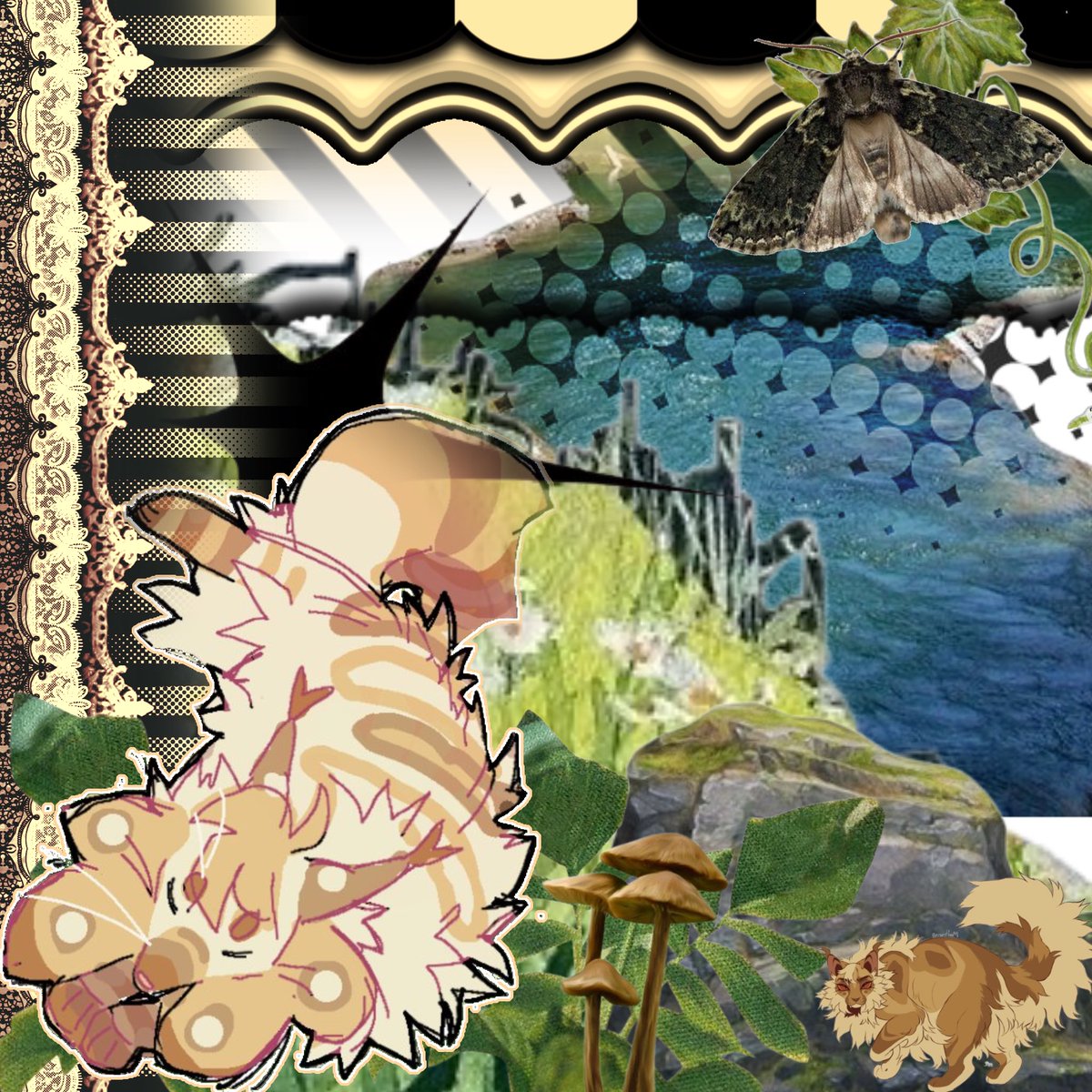 dumpling tweet media