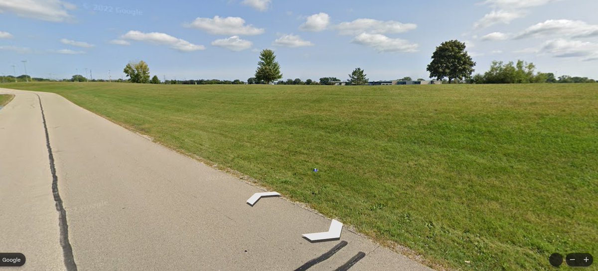 JB's Native Garden🦋 tweet media