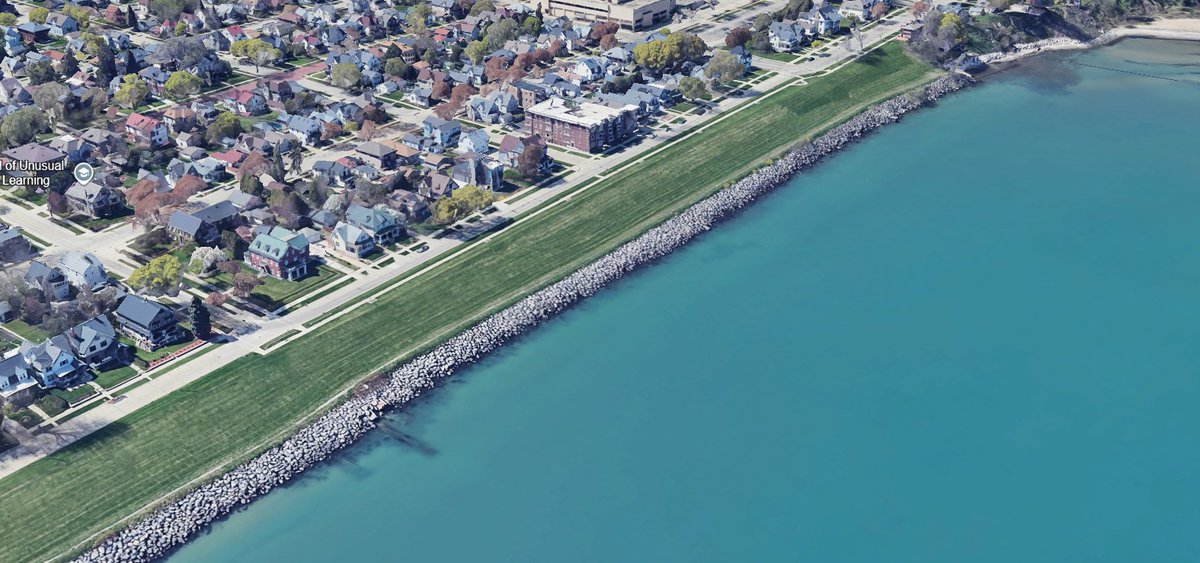 JB's Native Garden🦋 tweet media