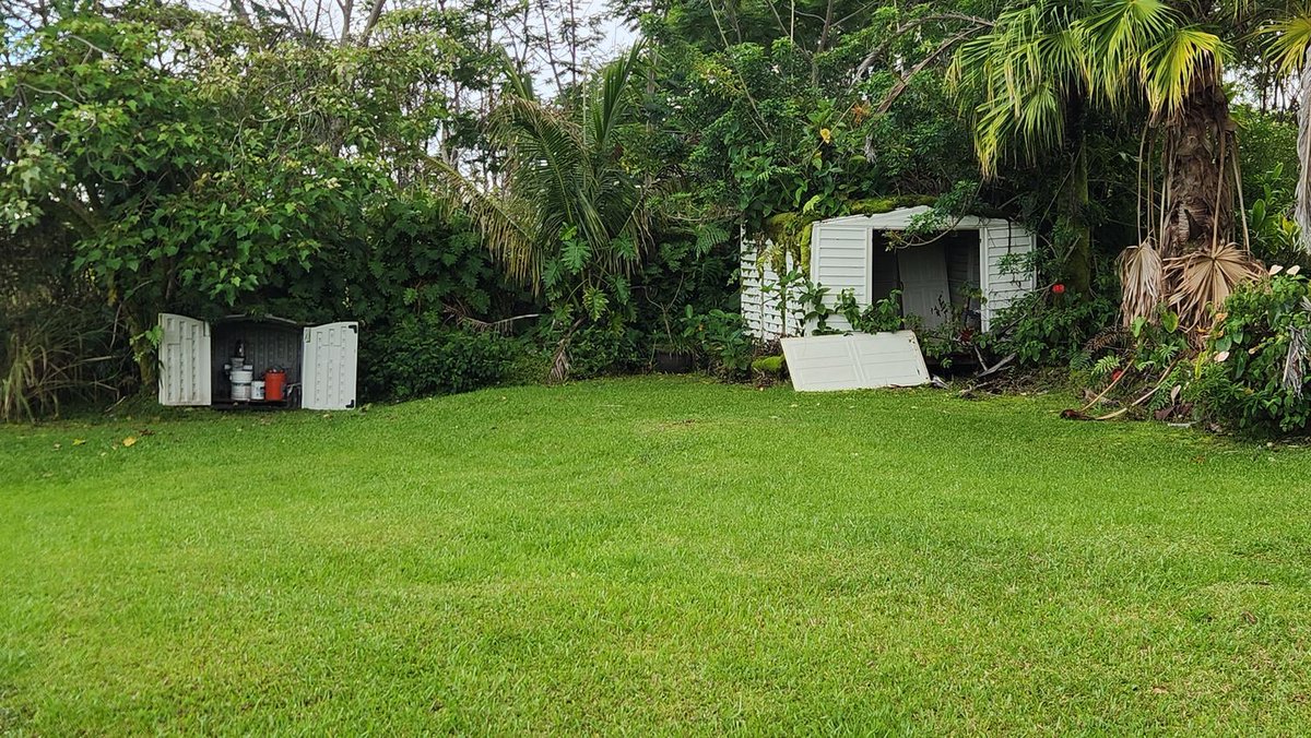 Hawaiʻi Life tweet media