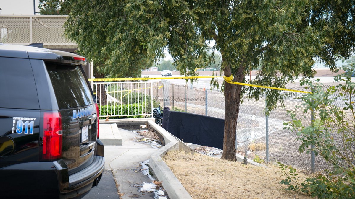 Local_Informant01 tweet media