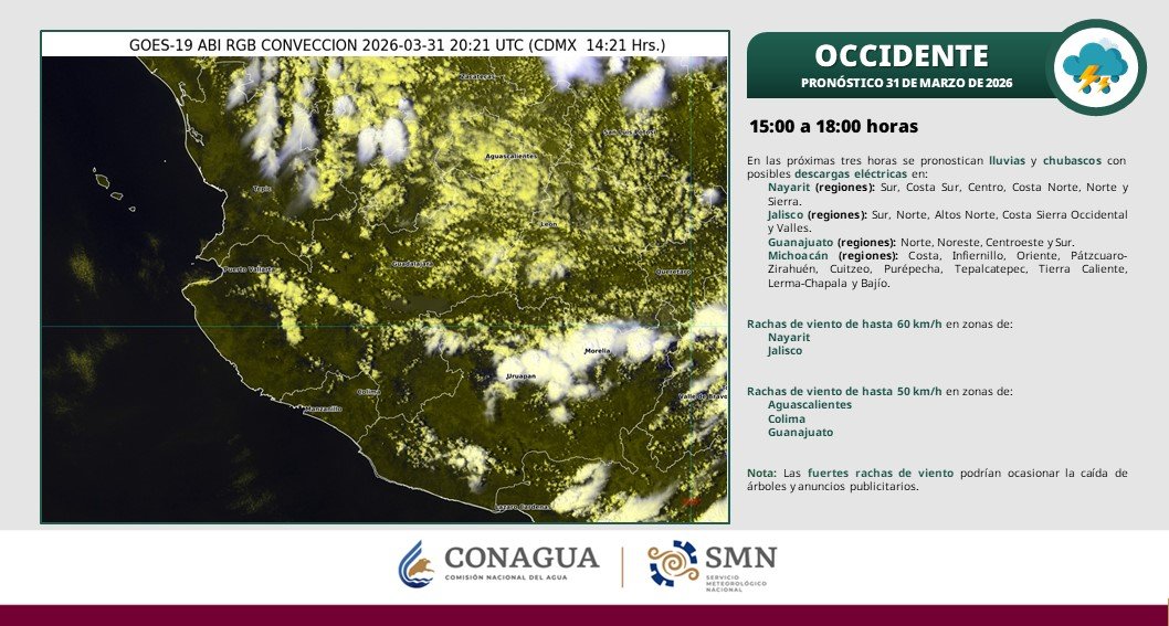 AFmedios tweet media