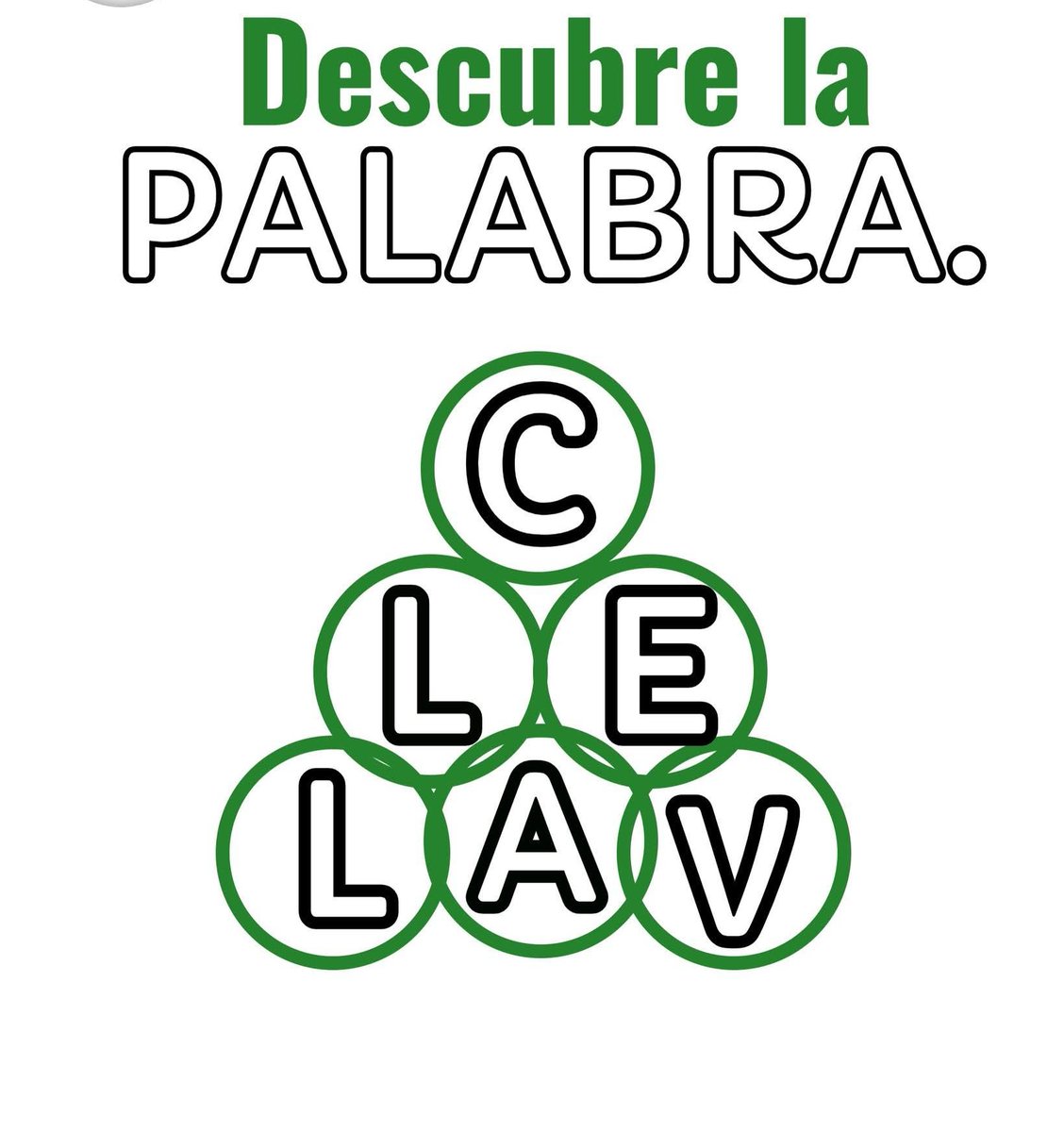 Suricato 💎 tweet media