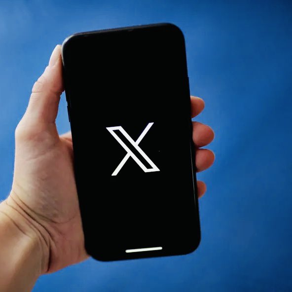 Central do Selinho Azul tweet media