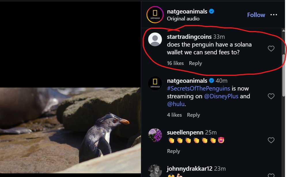 shaams 🐂 tweet media