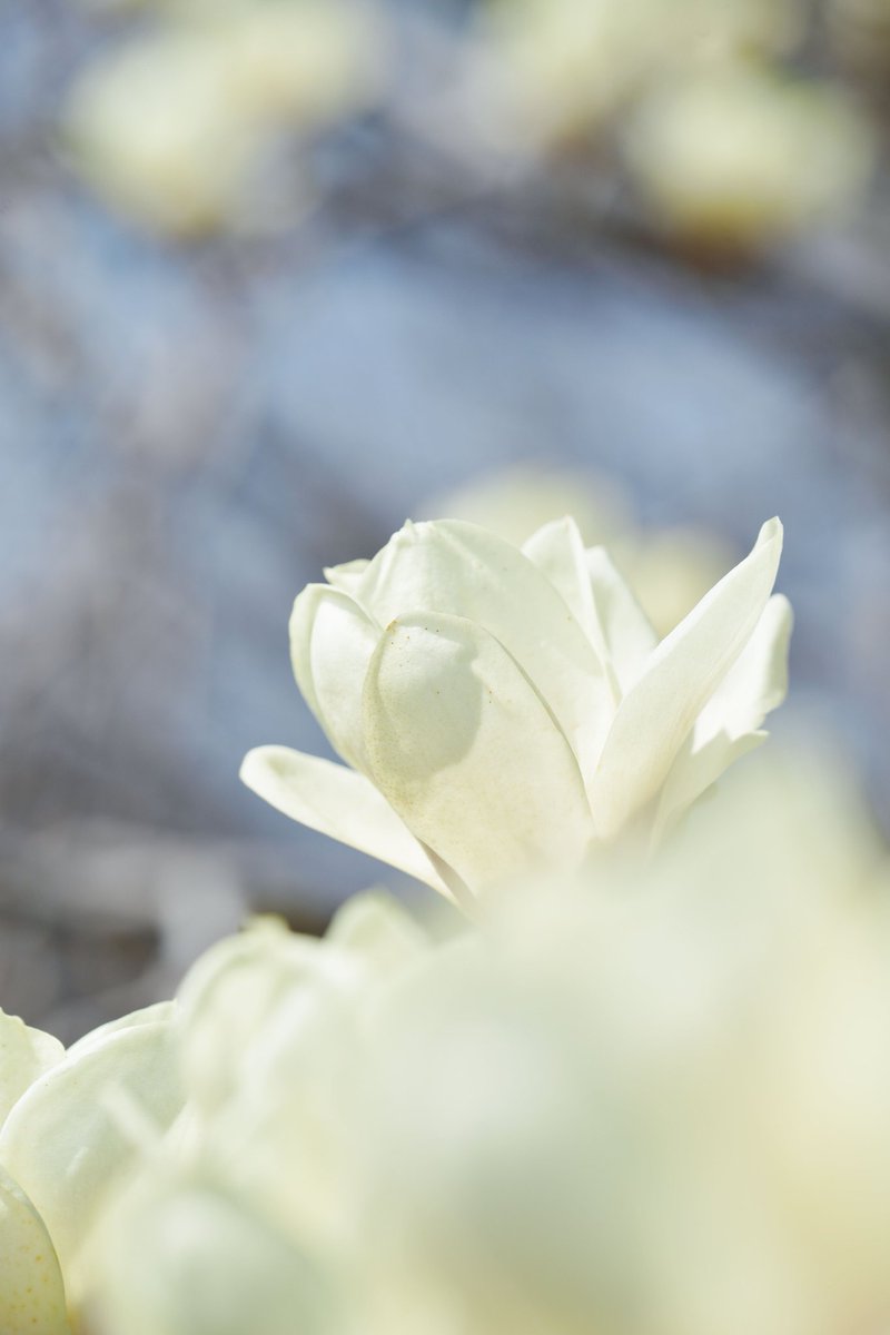 🏍⭐️GT 本垢⭐️🏍 写真垢 バイク好き tweet media