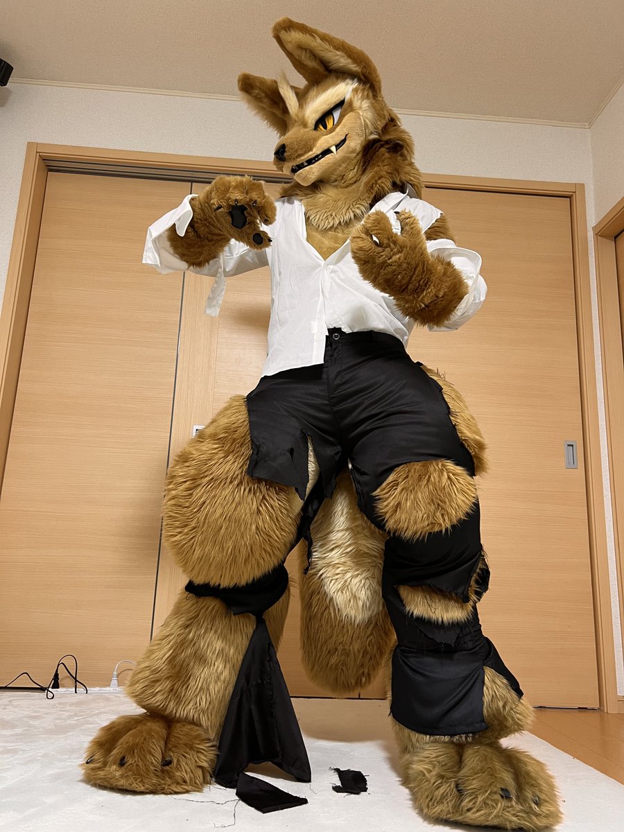 ten_bite's tweet photo. 4月1日だから嘘言っていいんだよね！
俺も獣人になりたいな〜！なんちゃって...あれ？

#FursuitEveryday https://t.co/ZBDXBLuo1Y