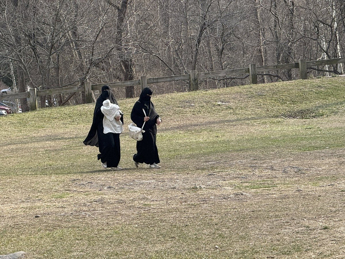 Chrissie Mayr🇺🇸 tweet media