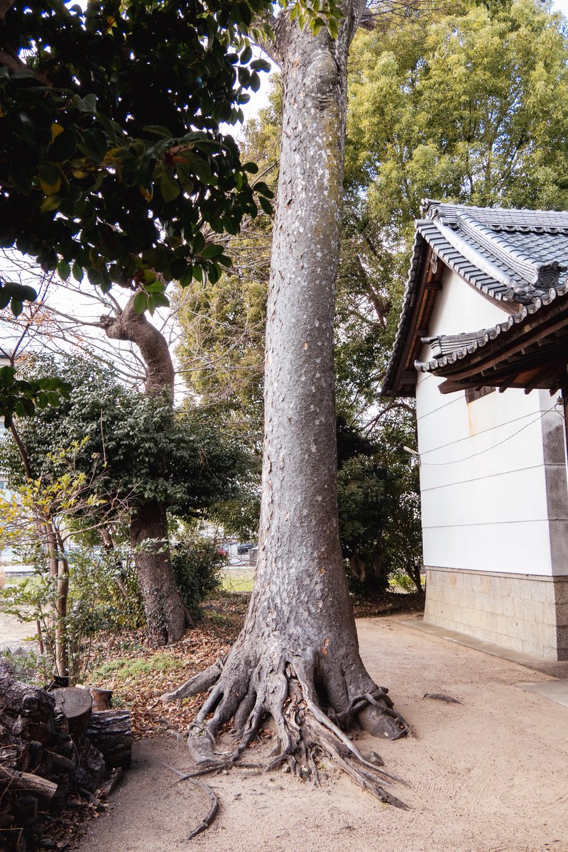 小林哲朗　写真家 tweet media