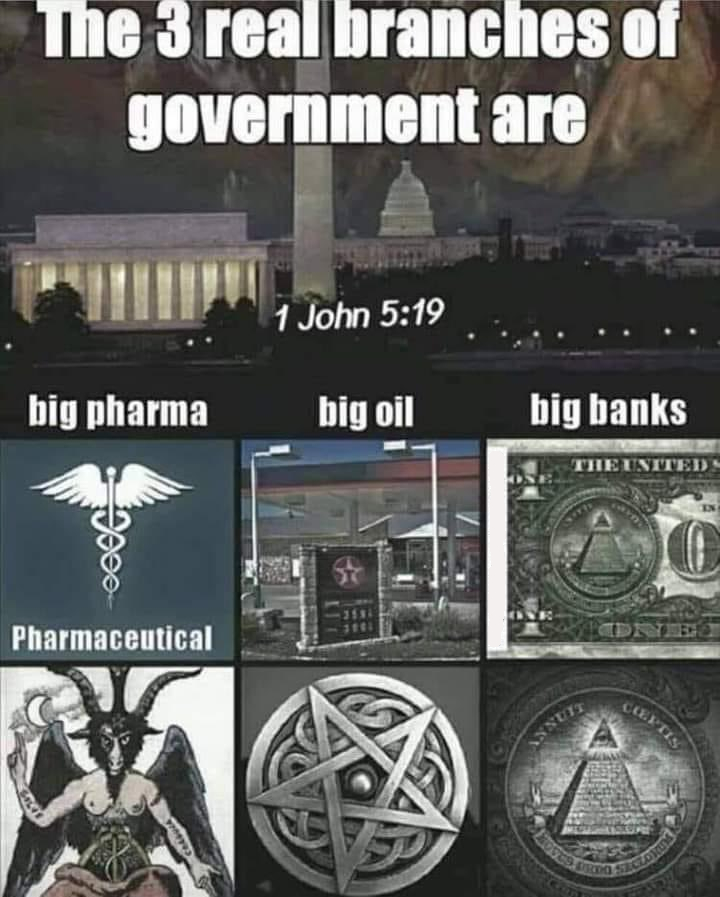 rabbitholebot tweet media