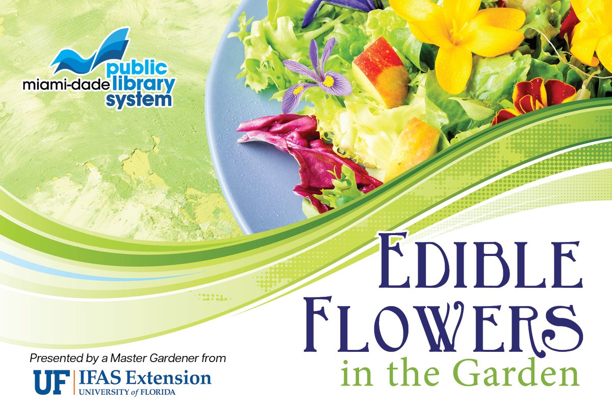 Miami-Dade Libraries tweet media