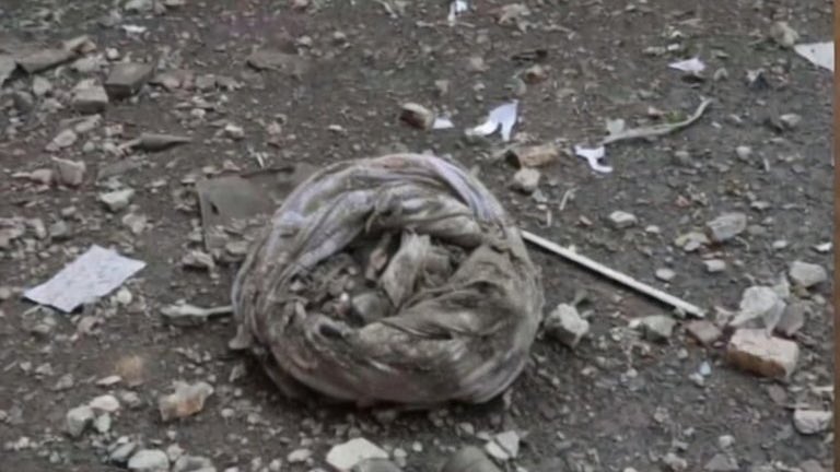 SharryMo 🇺🇸🇮🇷 tweet media