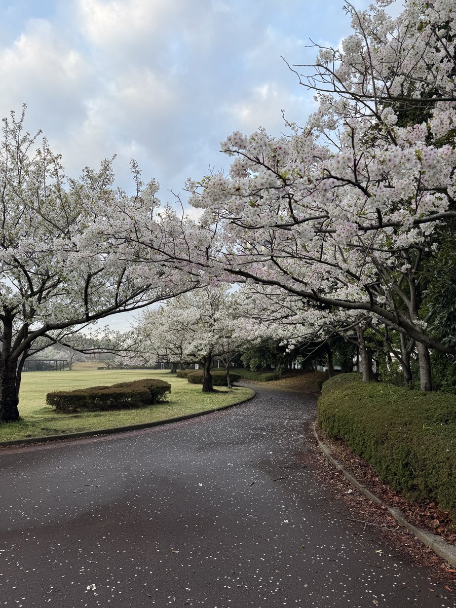 べあ@mbprgt tweet media