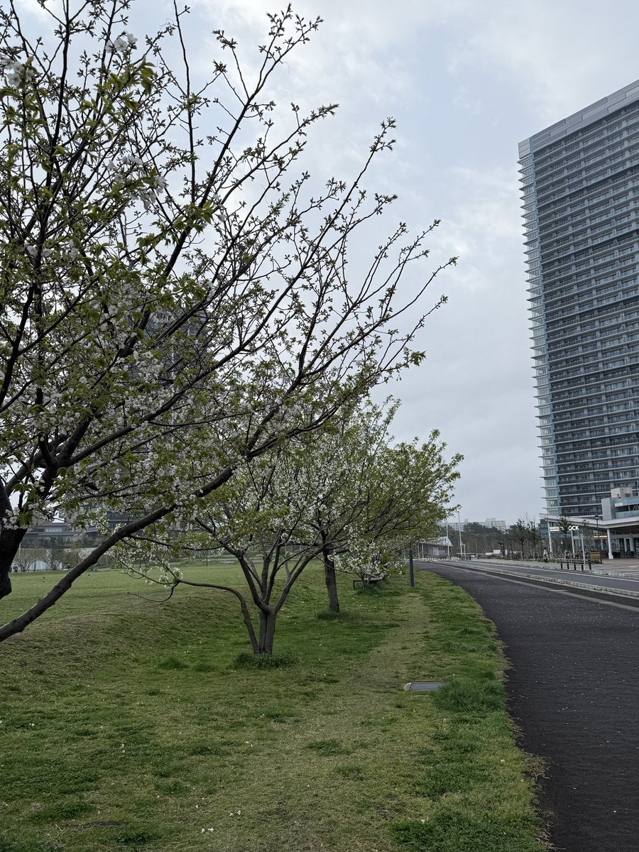 べあ@mbprgt tweet media