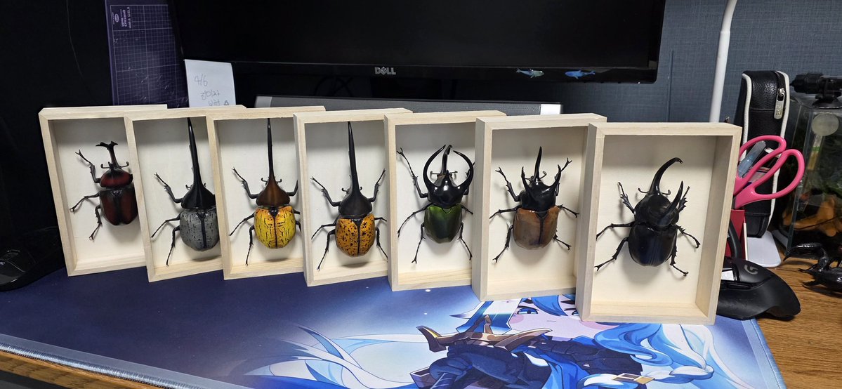 박익명 tweet media